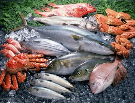 Pengawetan makanan